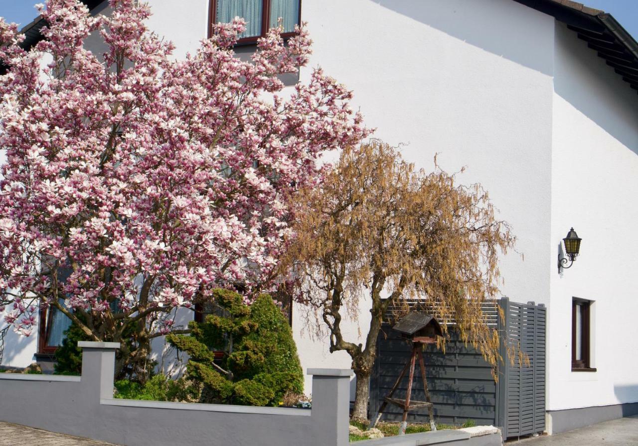 Ferienwohnung Charlotte Weisenheim am Sand 外观 照片